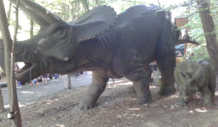 ZOO
