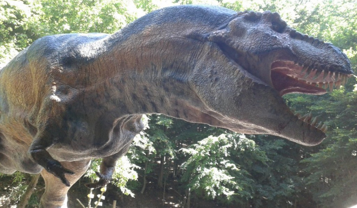 ZOO