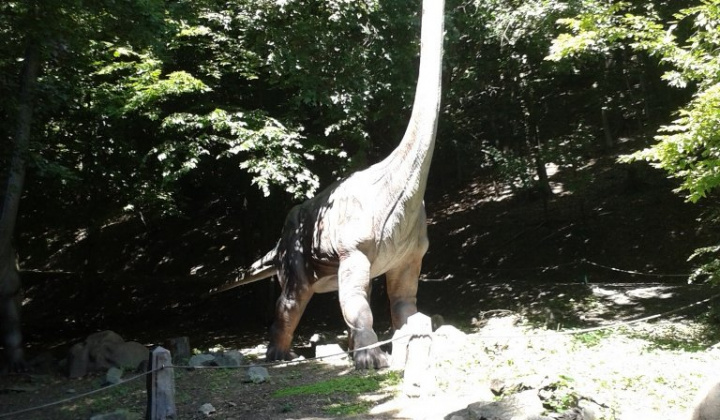 ZOO