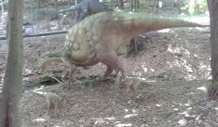 ZOO