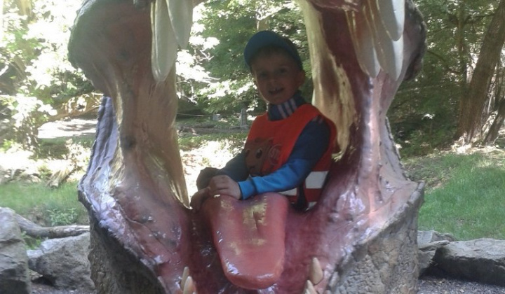 ZOO