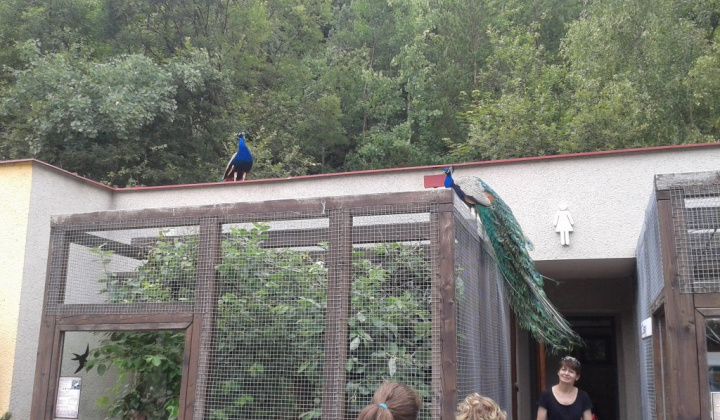 ZOO