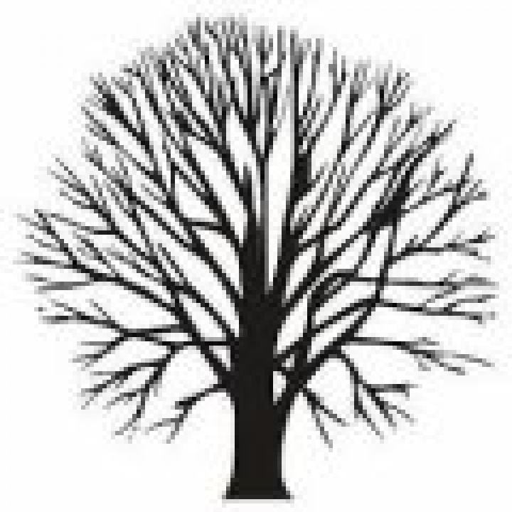 Výzva na výrub / okliesnenie  stromov  a iných porastov